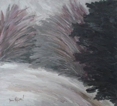 Zima II