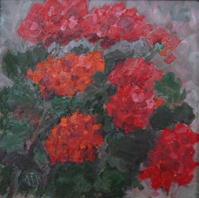 Pelargonie