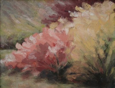 Rododendron